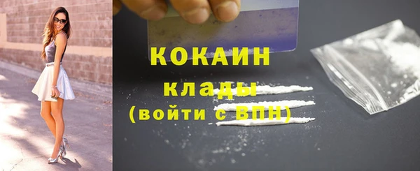 прущий лед Вяземский