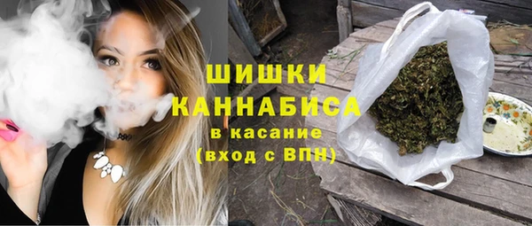 дживик Володарск