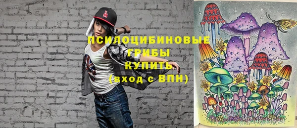 прущий лед Вяземский