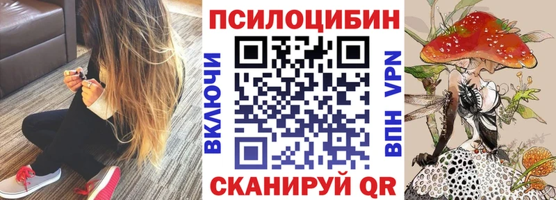 Псилоцибиновые грибы мицелий Елизово
